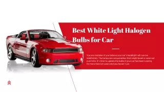 Best White Light Halogen Bulbs for Car- Partsgalaxy