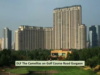 Fully Furnished Apartment in DLF The Camellias Gurgaon