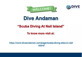 dive andaman