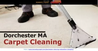 Searching for the best carpet cleaning in Dorchester, MA- Try Kennedy Carpet