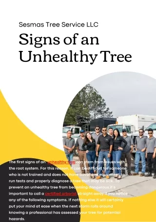 Signs of an Unhealthy Tree