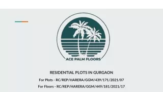 ACE PALM FLOORS - RESIDENTIAL PLOTS IN GURGAON