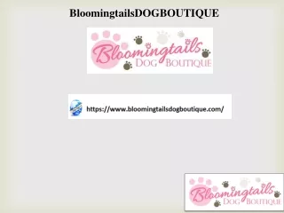 Dog Cookies Shop, bloomingtailsdogboutique.com
