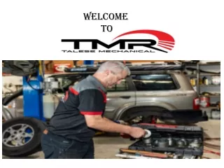 Talese Mechanical Car Service Campbelltown Nsw