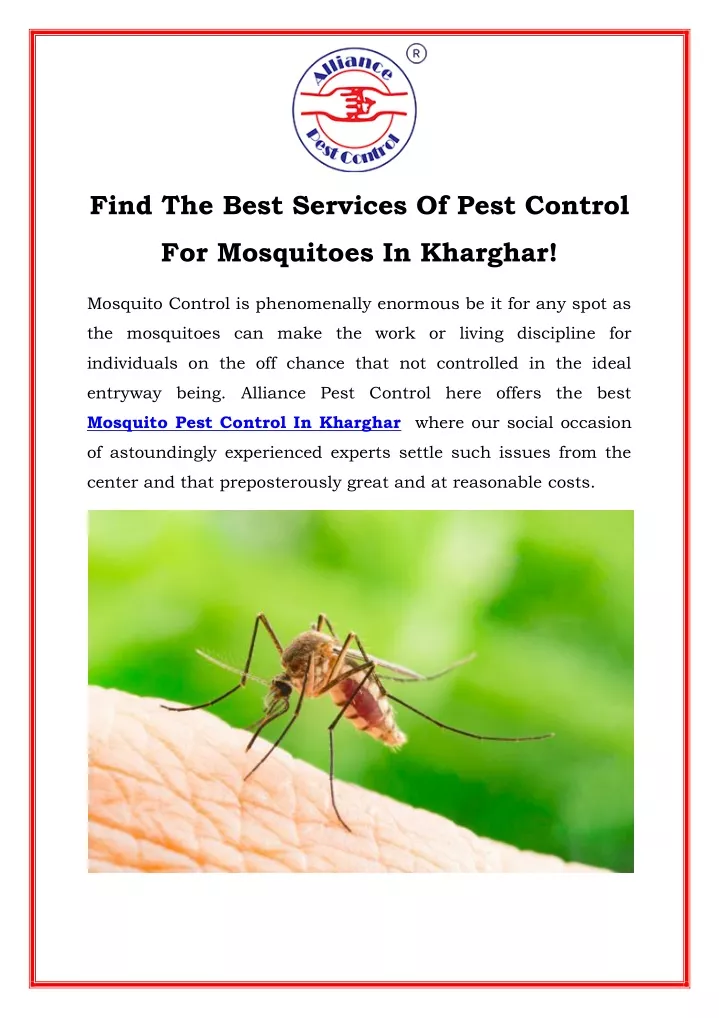 find the best services of pest control