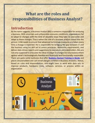 What are the roles and responsibilities of Business Analyst?