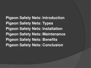 Pigeon Safety Nets