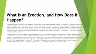 What is an Erection, and How Does it Happen