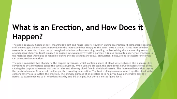 what is an erection and how does it happen