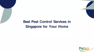 Best Pest Control Services in Singapore for Your Home