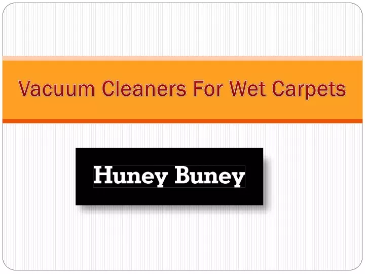 vacuum cleaners for wet carpets