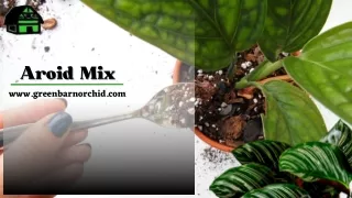 Find The Top-Quality Aroid Mix Now From Here - Green Barn Orchid