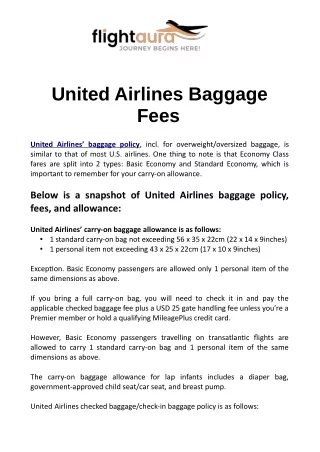 United Airlines Baggage Fees