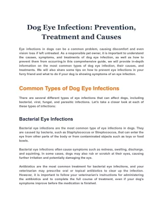 Dog Eye Infection: Prevention, Treatment and Causes