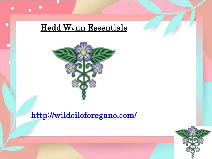 hedd wynn essentials