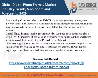 global digital photo frames market industry
