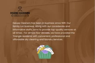 deluxe cleaners