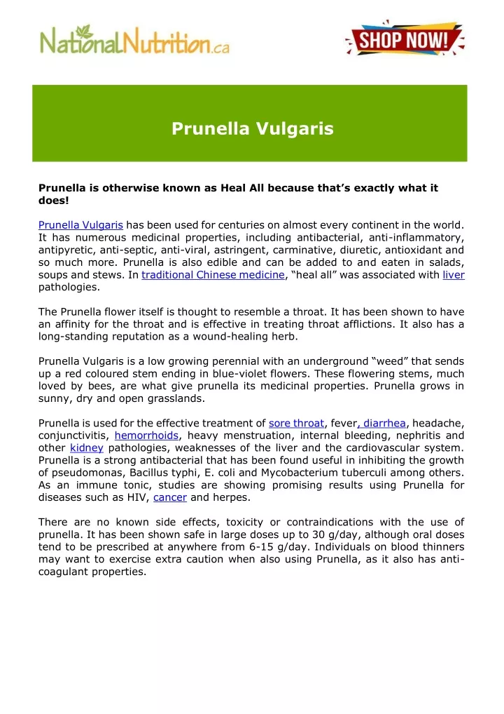 prunella vulgaris