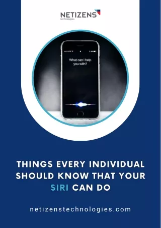 netizenstechnologies com