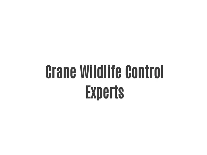 crane wildlife control experts