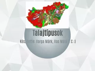 Talajtípusok