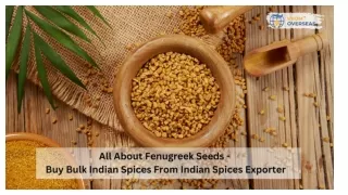 All About Fenugreek Seeds - Buy Bulk Indian Spices From Indian Spices Exporter - Vyom Overseas