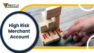 High-Risk Merchant Accounts _ High-Risk Payment Processors