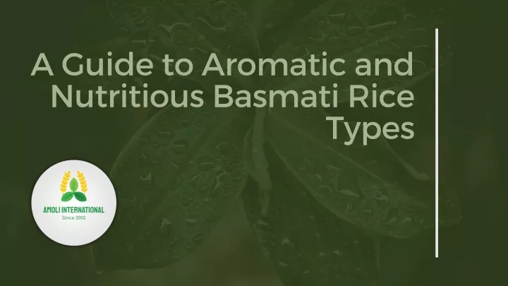 a guide to aromatic and nutritious basmati rice
