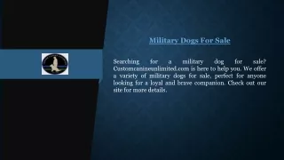 Military Dogs For Sale  Customcanineunlimited.com