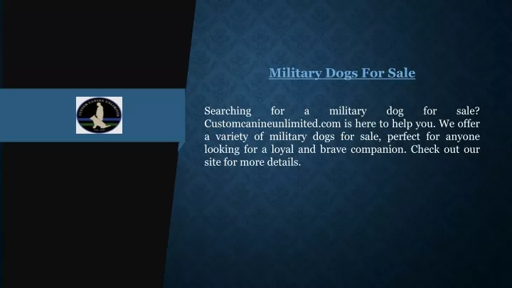 military dogs for sale