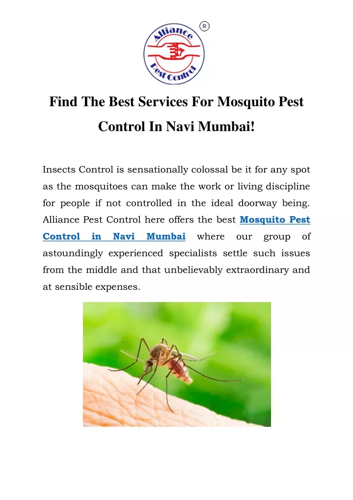 find the best services for mosquito pest