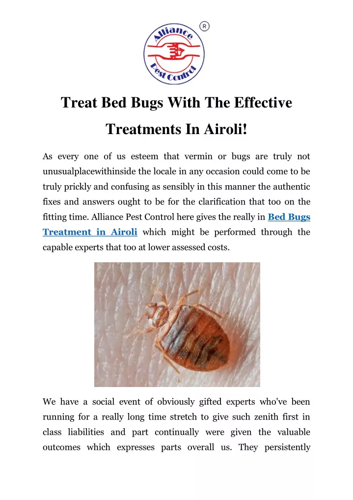 treat bed bugs with the effective