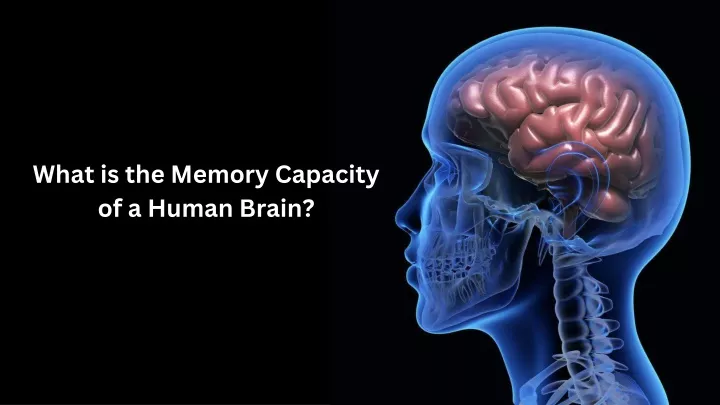 what is the memory capacity of a human brain