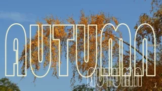 autumn