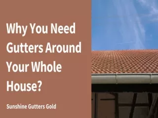 Why You Need Gutters Around Your Whole House?