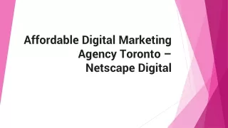 Affordable Digital Marketing Agency Toronto - Netscape Digital