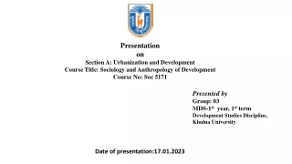 Urbanization and Development