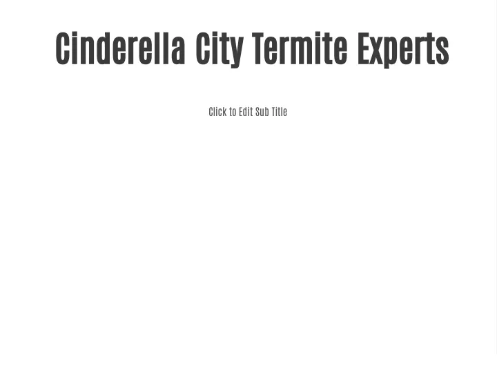 cinderella city termite experts