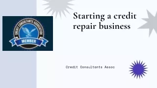 Starting a credit repair business