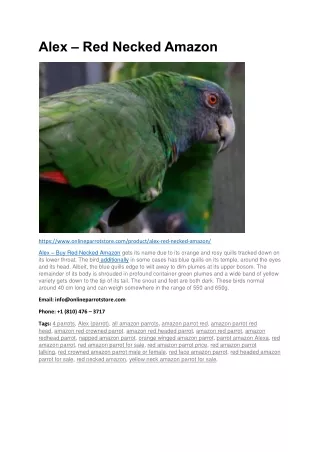 Red Necked Amazon
