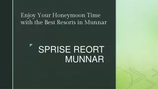 SPRISE REORT MUNNAR- Honeymoon resort