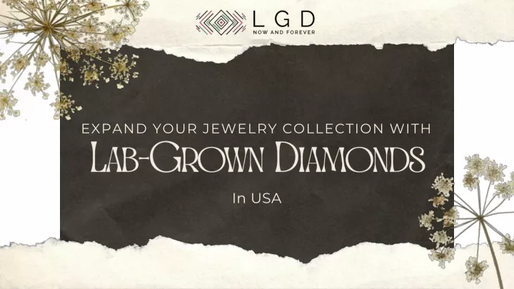 expand your jewelry collection with