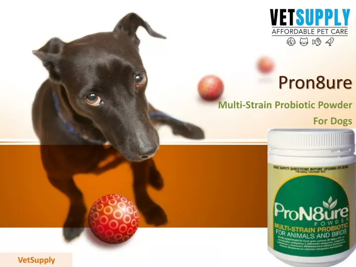 pron8ure multi strain probiotic powder for dogs