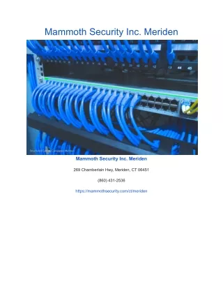 mammoth security inc meriden