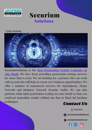 Best Penetration Testing Company in Abu Dhabi (1)