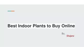 Best Indoor Plants to Buy Online