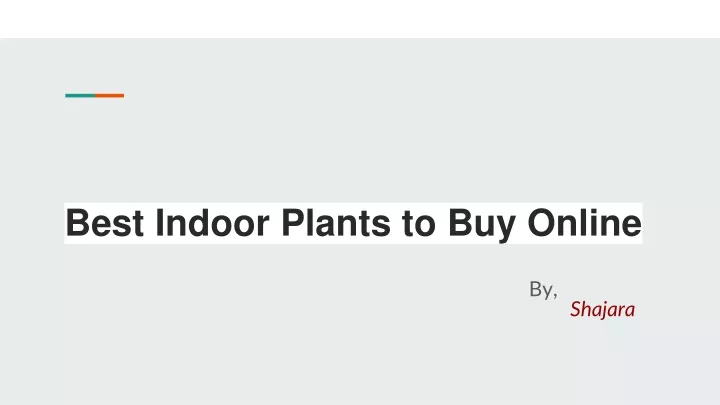 best indoor plants to buy online