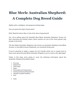 Blue Merle Australian Shepherd: A Complete Dog Breed Guide