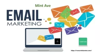 Mint Ave - Email Marketing