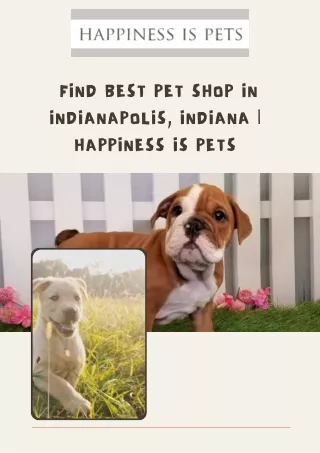 Find Best Pet Shop In Indianapolis, Indiana | Happiness Is Pets